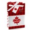 Big Dot of Happiness Canada Day - Canadian Party Favor Boxes - Set of 12